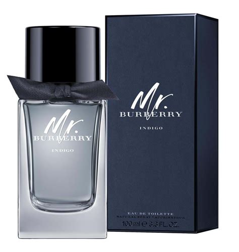 burberry indigo cologne|mr burberry indigo 50ml.